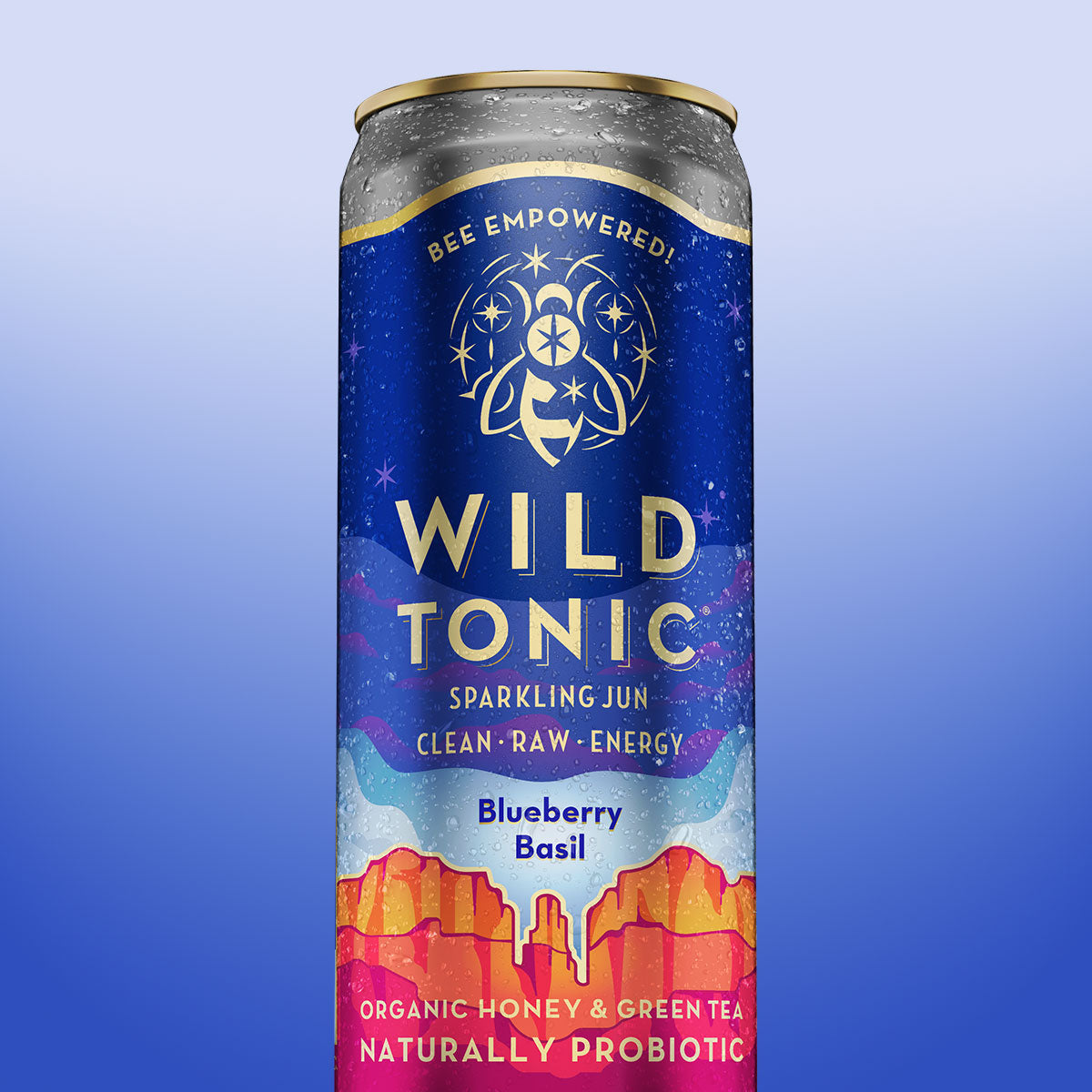 Blueberry Basil 6-Pack – WILD TONIC