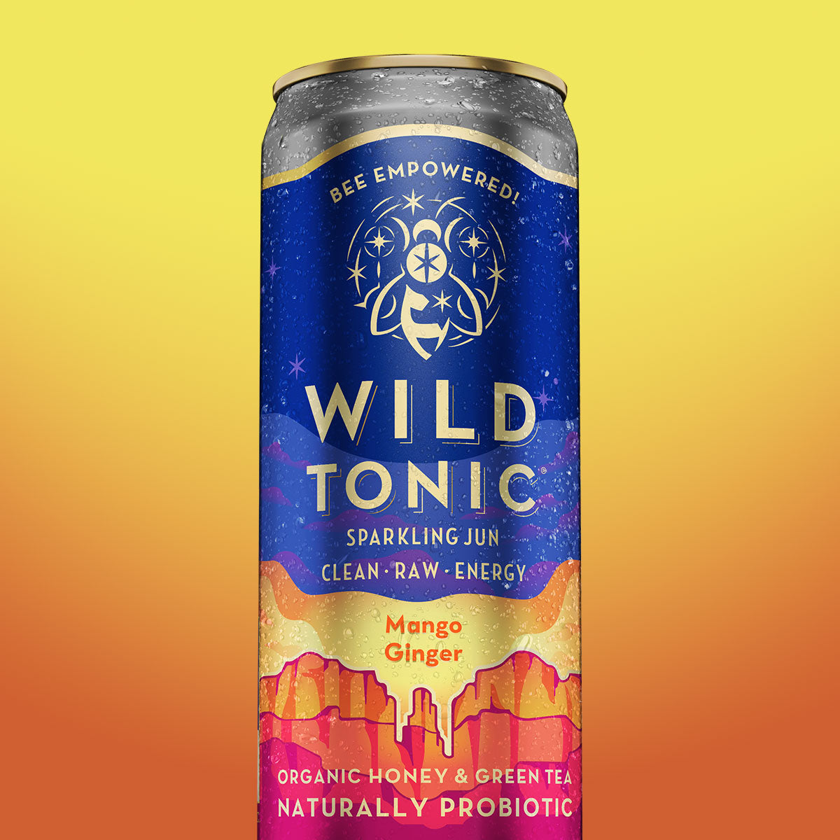 Mango Ginger 6-Pack