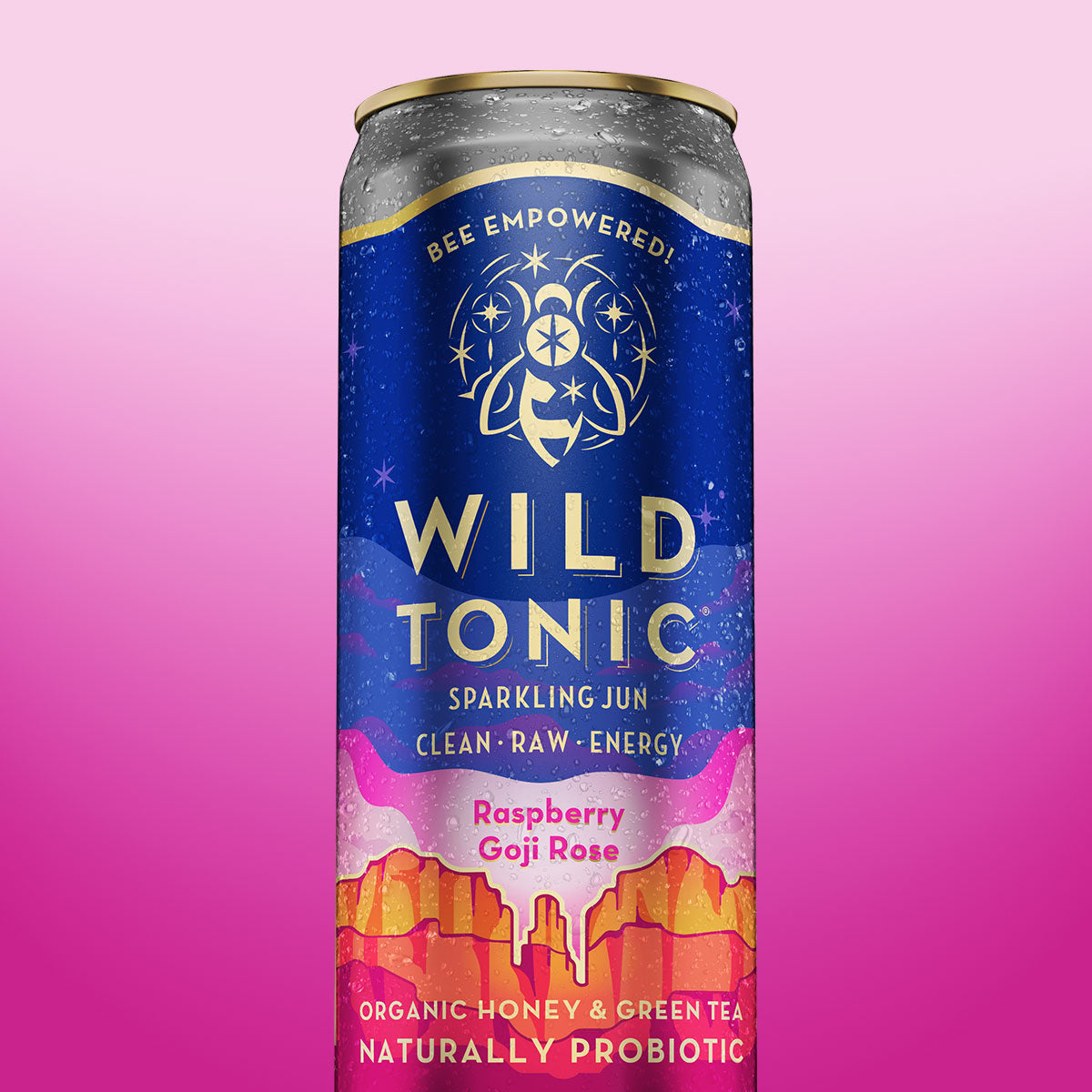 Raspberry Goji Rose 6-Pack – WILD TONIC